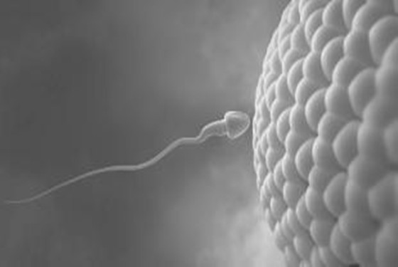 连续同房三天精子质量 竟比想象中的要好得多