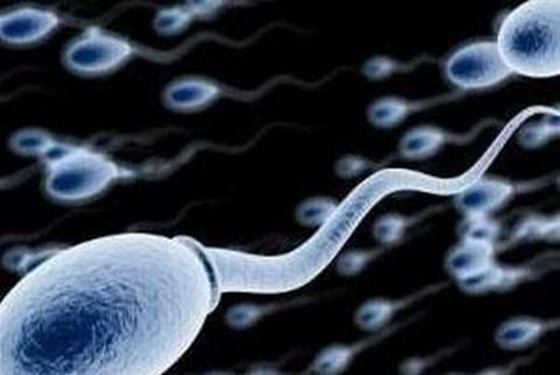 精子72小时后受孕能力 别把它想得太过强大