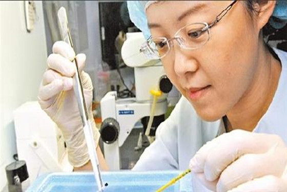 这个时间段，揭秘最晚人工授精几天能测出来怀孕