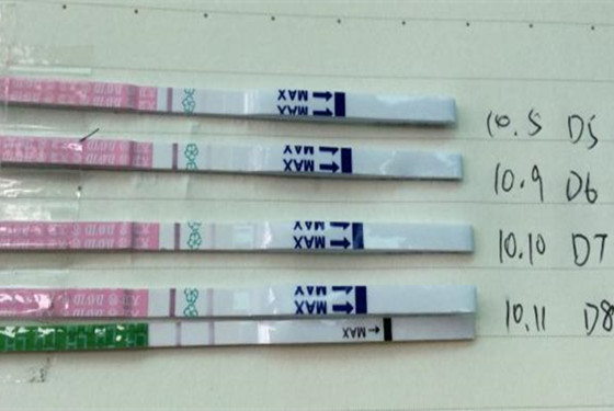 排卵试纸强阳多久同房易受孕 这个时间段别错过
