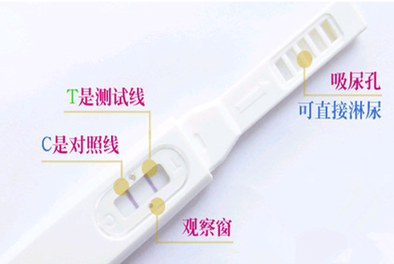 手把手教你验孕棒怎么使用 如何查看结果的方法
