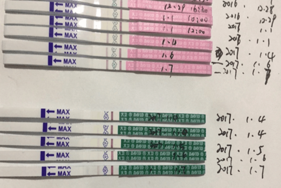 备孕中奖经历：网友备孕6个月成功经验分享