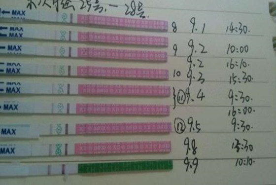 大卫排卵试纸8档图解图 轻松“找到”排卵期