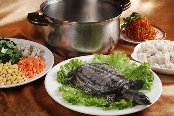 备孕吃什么卵泡质量好 想要快速吃这5种食物总没错