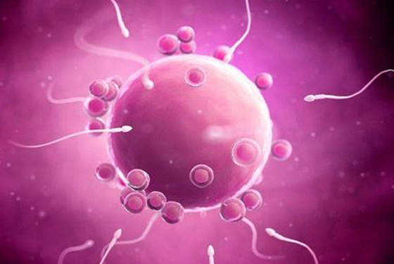 怎么才知道着床成功了 受精卵着床有什么症状或表现