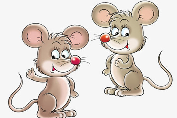 属鼠年几月出生最旺 这几个月出生的人旺人旺己