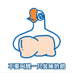 不要叫醒一只装睡的鹅