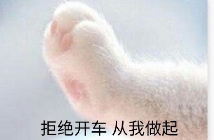 拒绝开车从我做起
