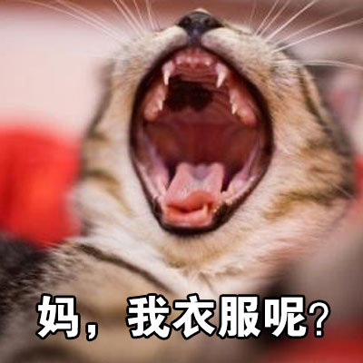 暑假里的你表情包