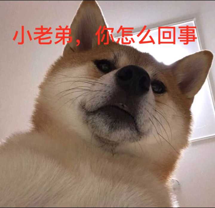 小老弟你怎么回事