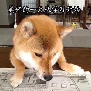 美好的一天从学习开始