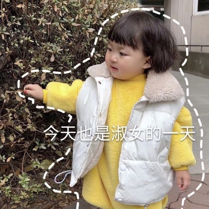 今天也是淑女的一天