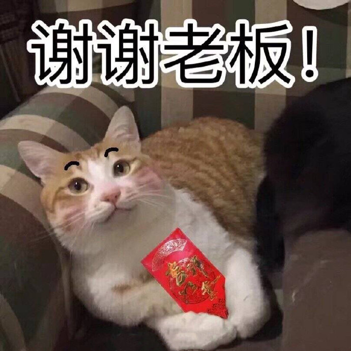 谢谢老板