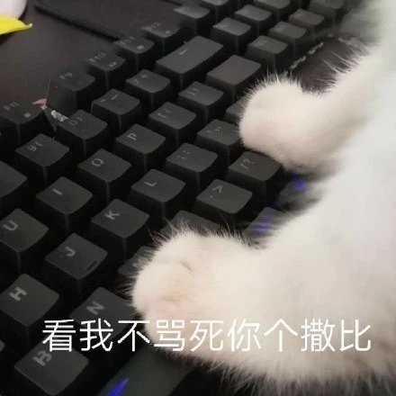 看我不骂死你个撒比