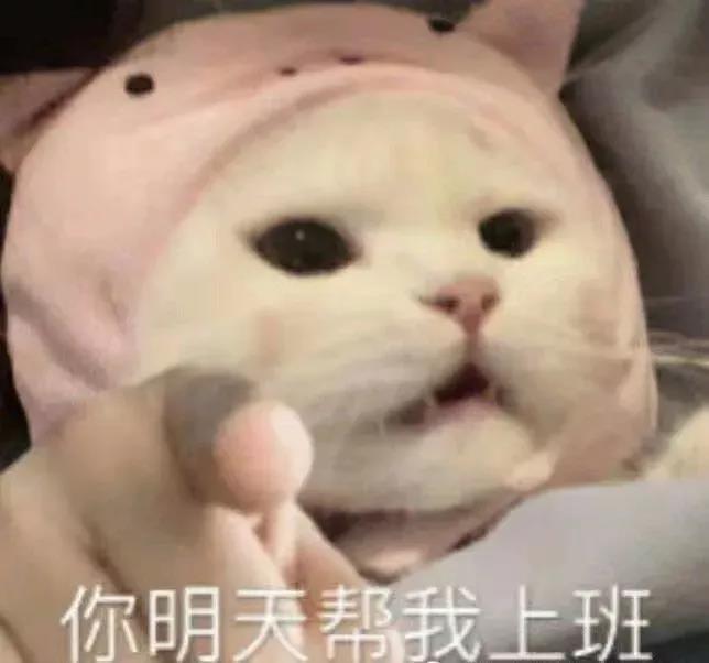 你明天帮我上班