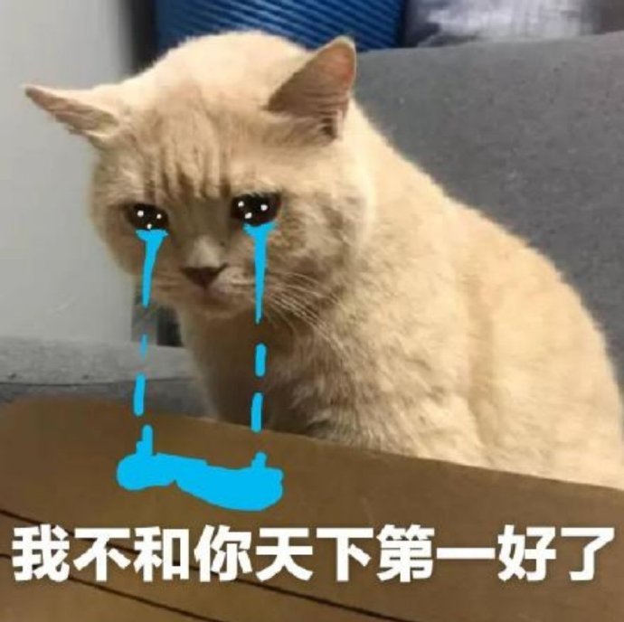 我不和你天下第一好了