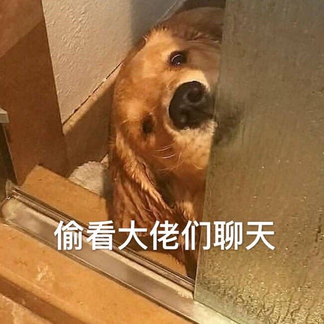 偷看大佬们聊天