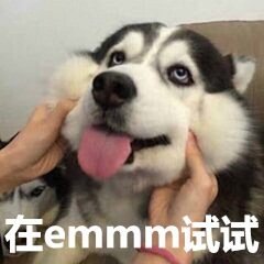 在emmm试试