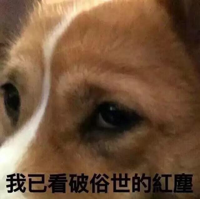 我已看破俗世的红尘
