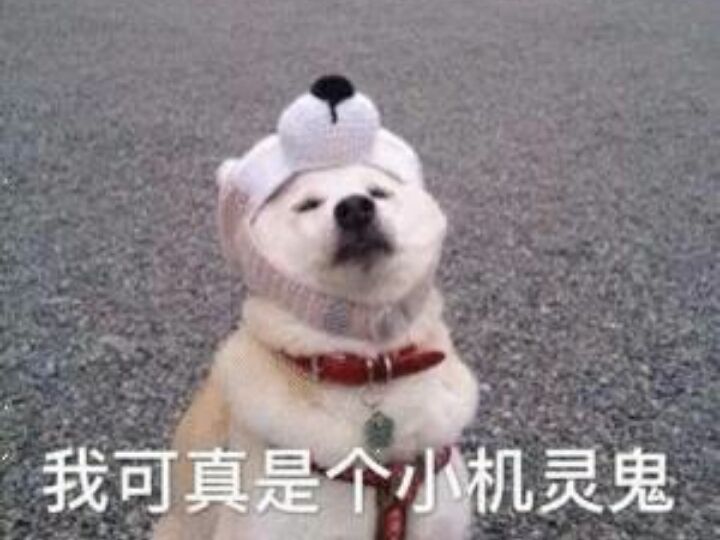 我可真是个小机灵鬼