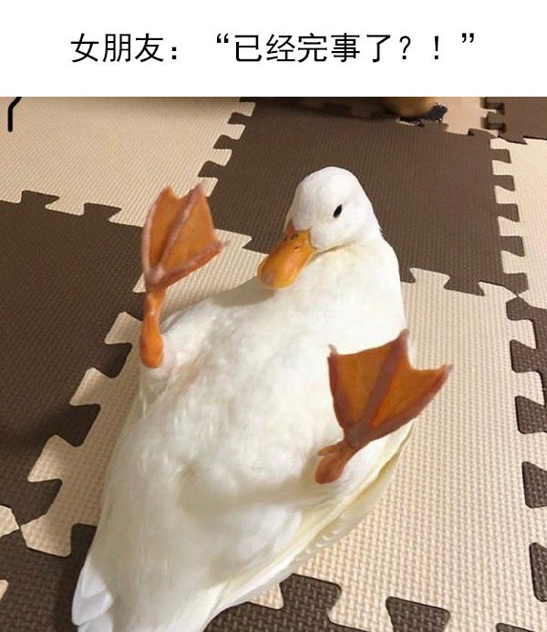 已经完事了？