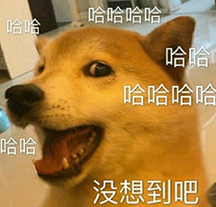 哈哈哈哈没想到吧