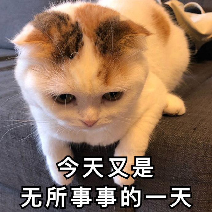 今天又是无所事事的一天