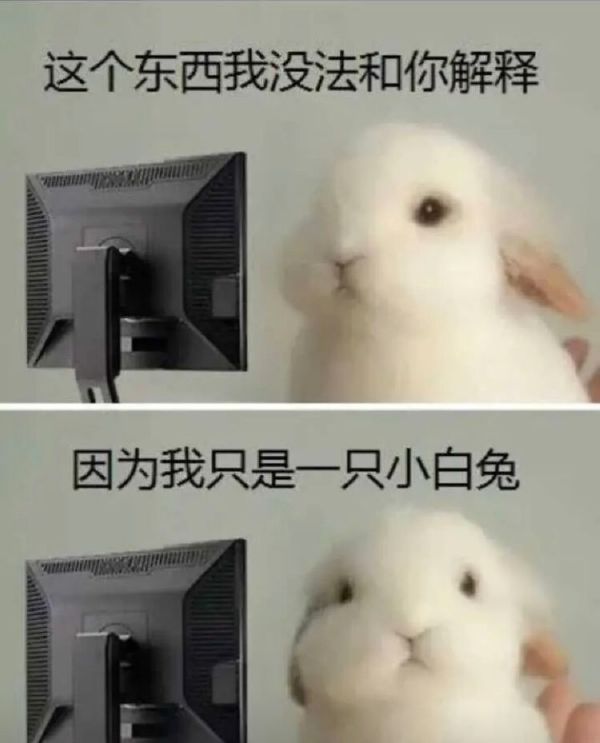 这个东西我没法和你解释因为我只是一只小白兔