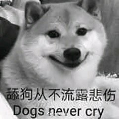 舔狗从来不流露悲伤
