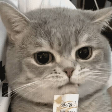 吃东西