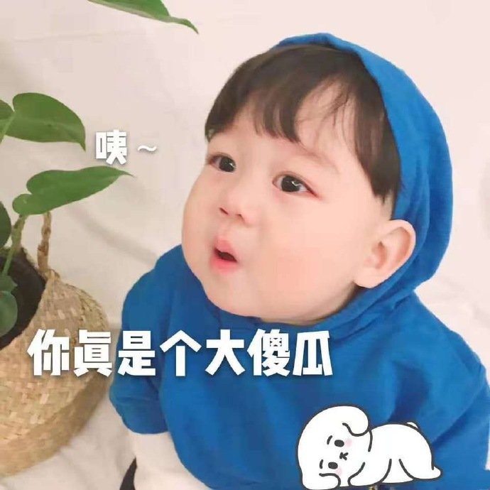 你真是个大傻瓜