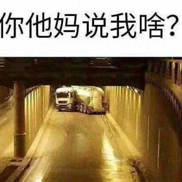 你他妈说我啥
