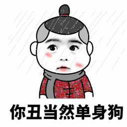 你丑 当然单身狗
