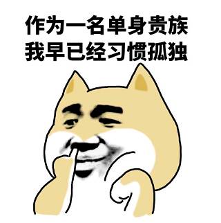 作为一名单身贵族我早已经习惯孤独