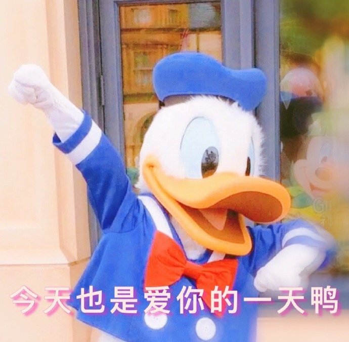 今天也是爱你的一天鸭