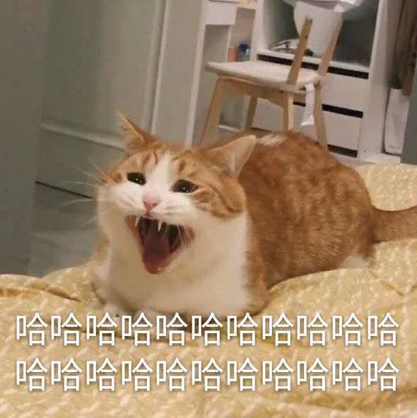 哈哈哈哈哈哈哈哈哈哈哈哈哈