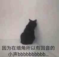 因为在墙角所以有回音的 小声bbbbbbbbbb