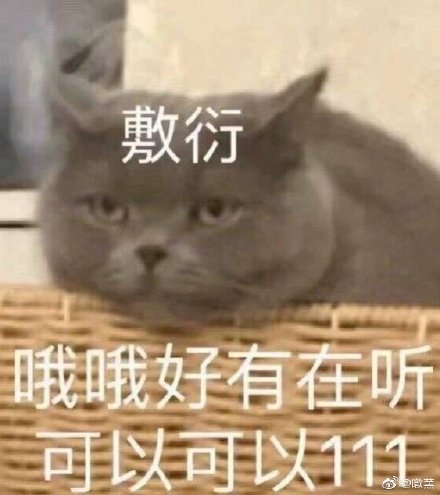 敷衍 哦哦好有在听 可以可以111