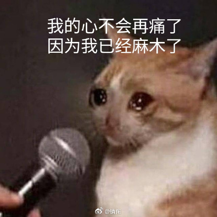 我的心不会再痛了因为我已经麻木了