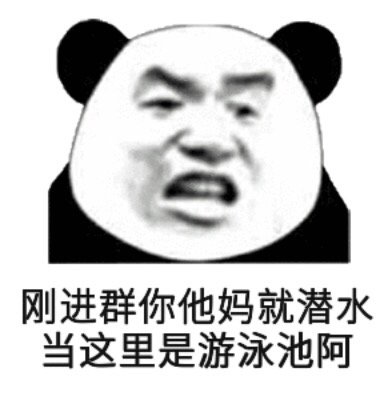 刚进群你他妈就潜水当这里是游泳池阿