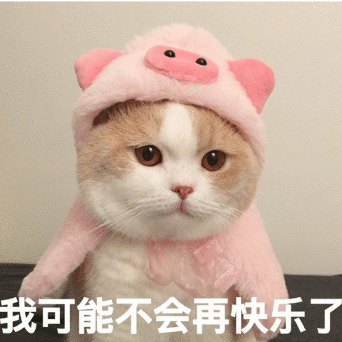 我可能不会再快乐了
