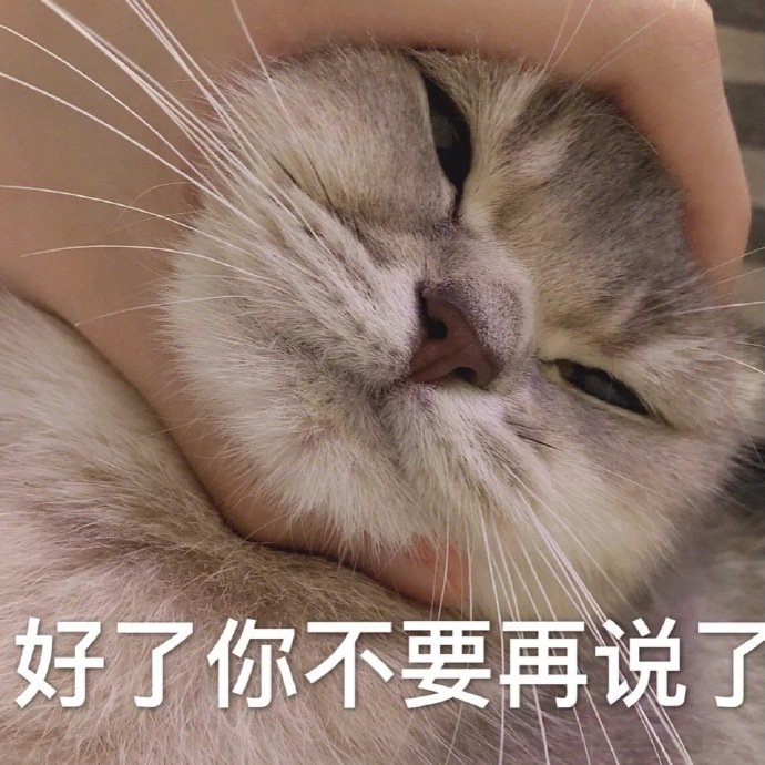 好了你不要再说了