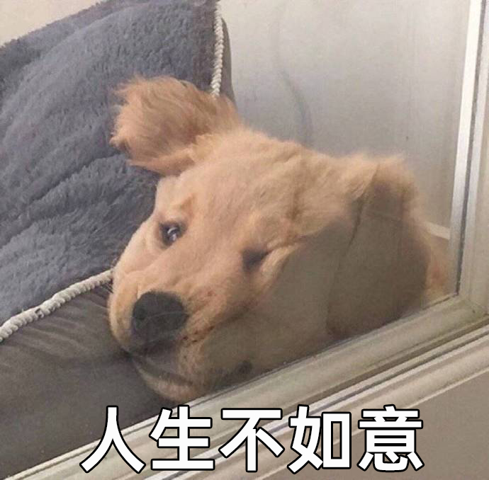 人生不如意