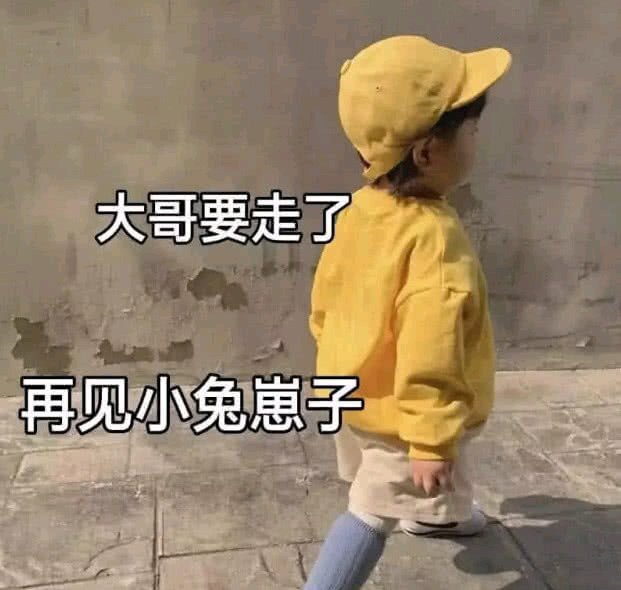 大哥要走了再见小兔崽子
