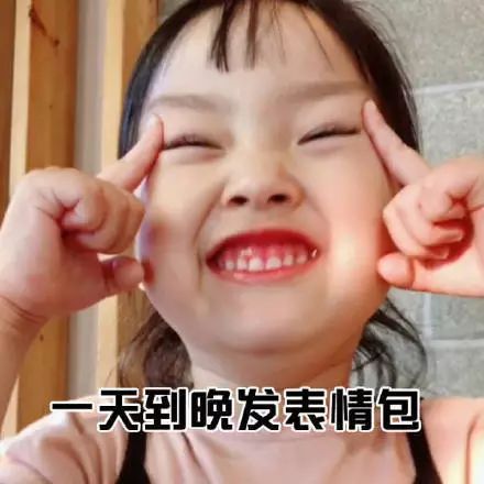 一天到晚发表情包
