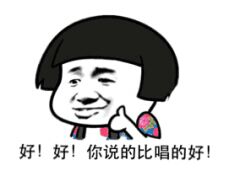 好 好 你说的比唱的好