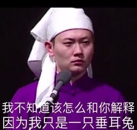 我不知道该怎么和你解释 因为我只是一只垂耳兔
