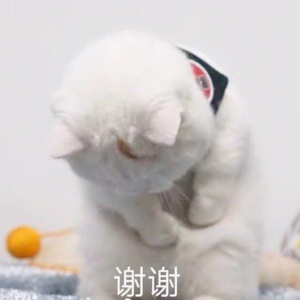 谢谢