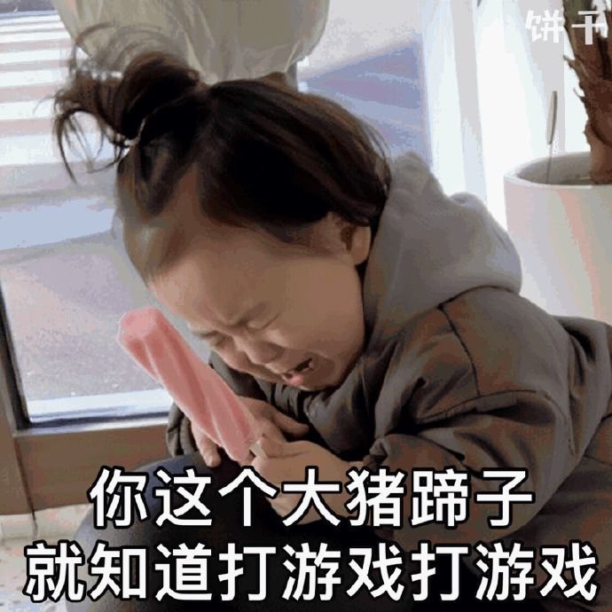 你这个大猪蹄子就知道打游戏打游戏