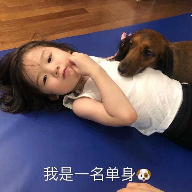 我是一名单身狗
